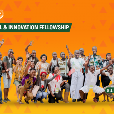 AU Digital & Innovation Fellowship